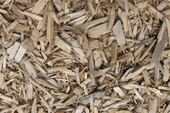 biomass boilers Tatworth